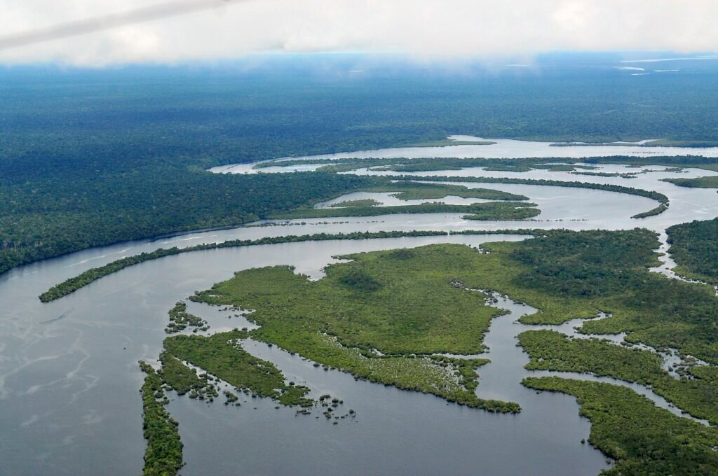 Aerial view of the Amazon rainforest with a winding river