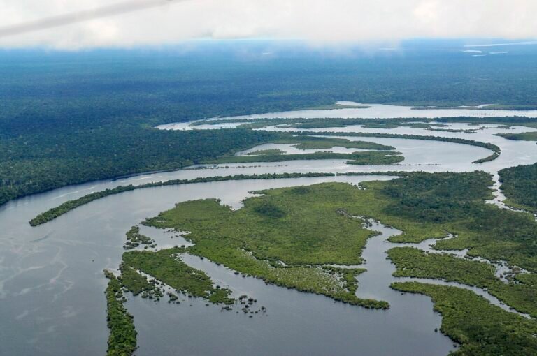 Aerial view of the Amazon rainforest with a winding river