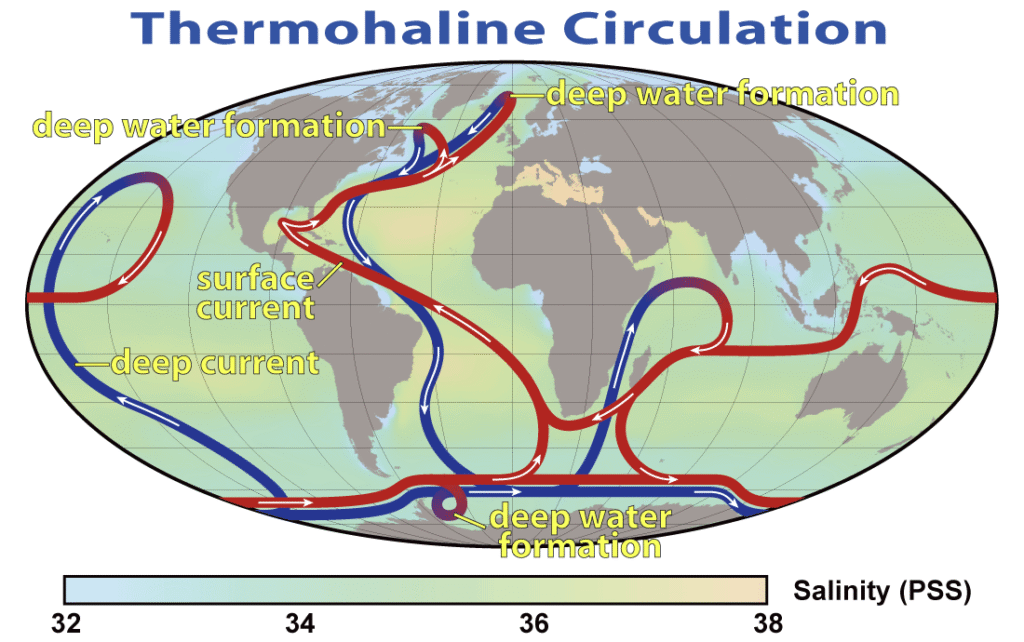 World map of the global ocean conveyor, with warm surface currents in red and cold deep currents in blue