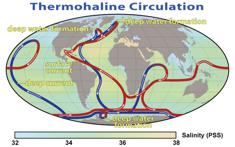 World map of the global ocean conveyor, with warm surface currents in red and cold deep currents in blue